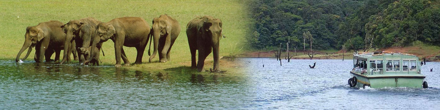 Kerala Tourist Places