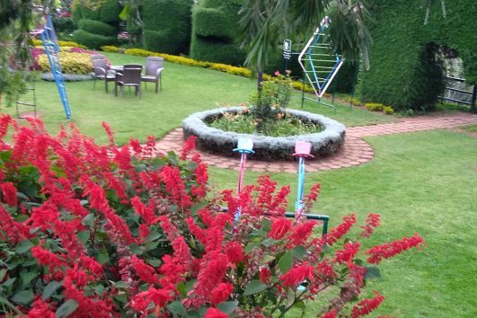 Ooty