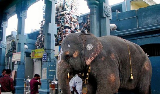 Manakula Vinayagar Temple – South Indian Tour